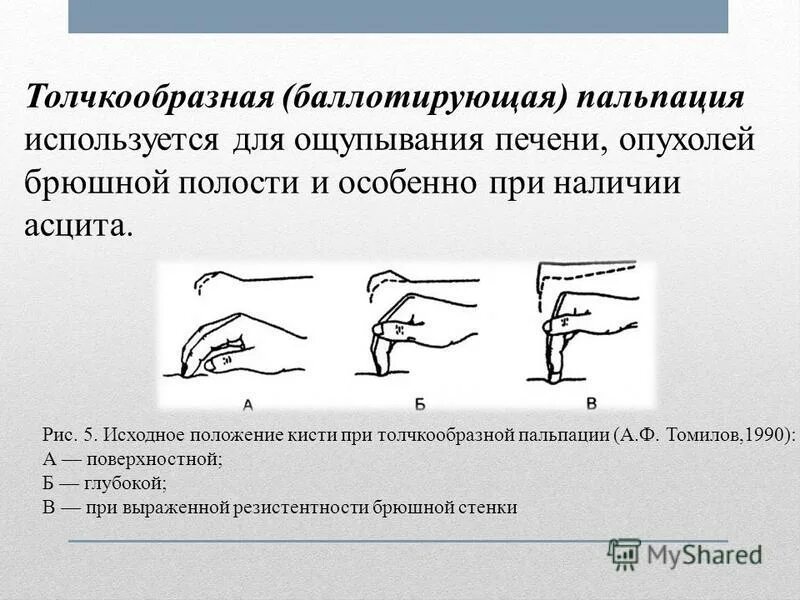 Осмотр и пальпация молочных желез алгоритм. Осмотр и пальпация молочных желез алгоритм