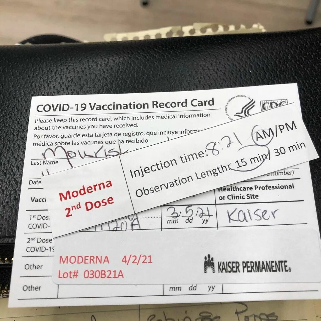 Please card перевод. Please card перевод
