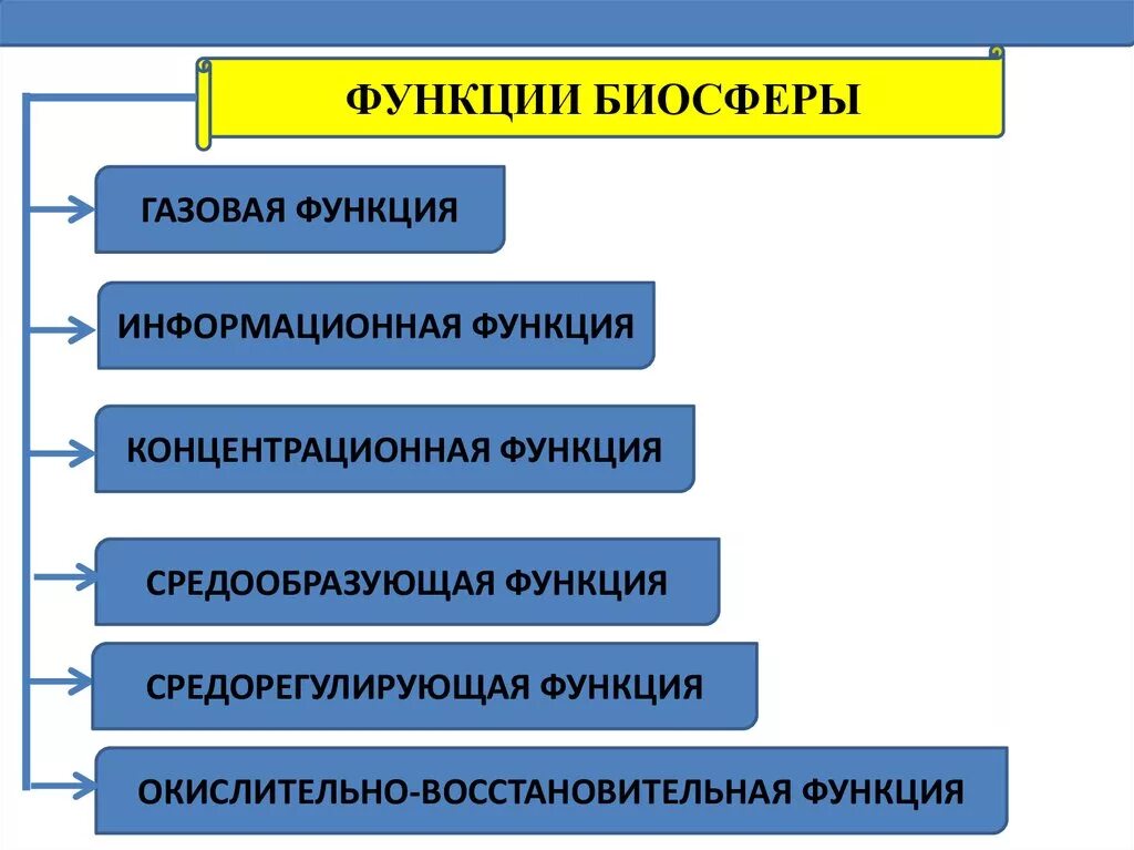 Углекислый газ функции в биосфере. Функции биосферы. Основные функции биосферы. Перечислите основные функции биосферы:. Важнейшие функции биосферы.