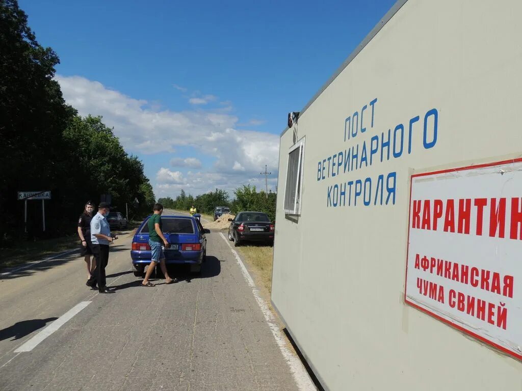 Ачс в краснодарском крае 2025