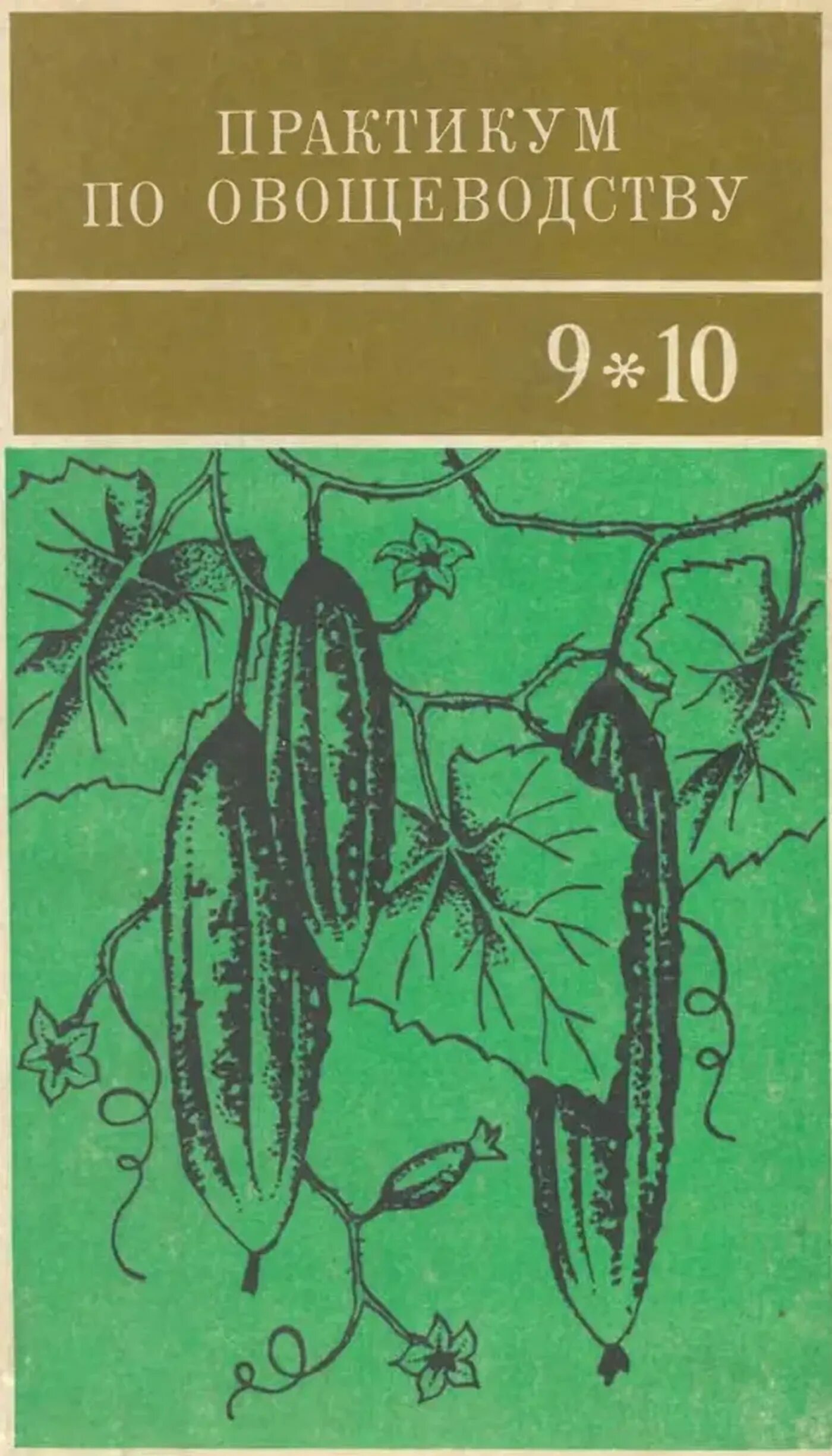 Овощеводство учебник. Практикум по овощеводству. Учебник по овощеводству. Овощеводство книга. Овощеводство учебник для вузов.