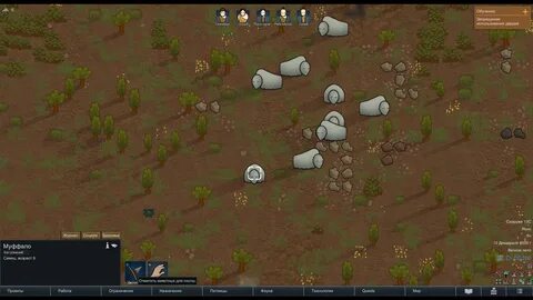 Rimworld пешка