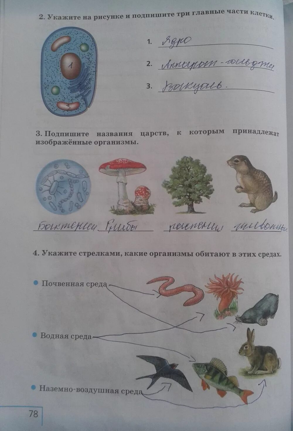 Биология 5 класс учебник стр 78 ответы