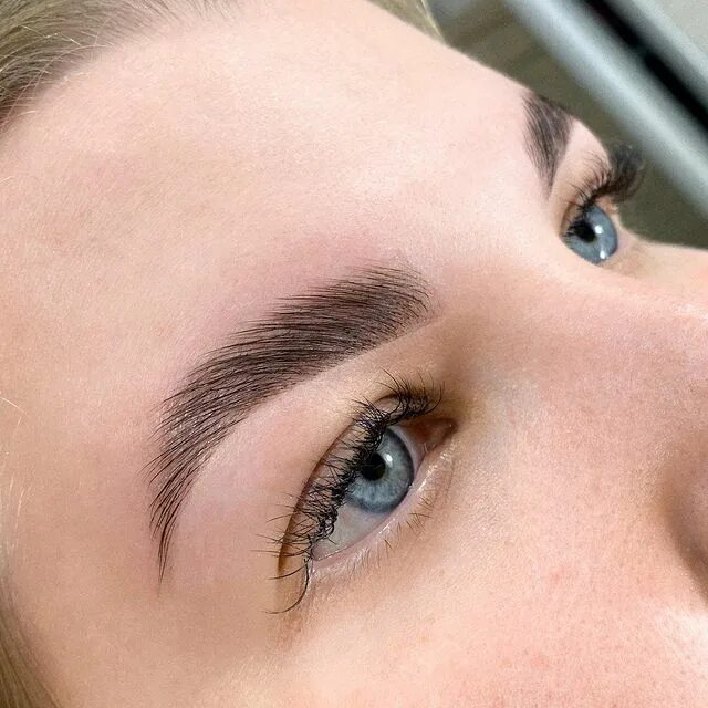 лучшие брови спб