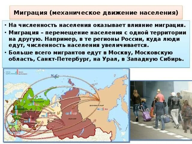 Основные миграционные процессы