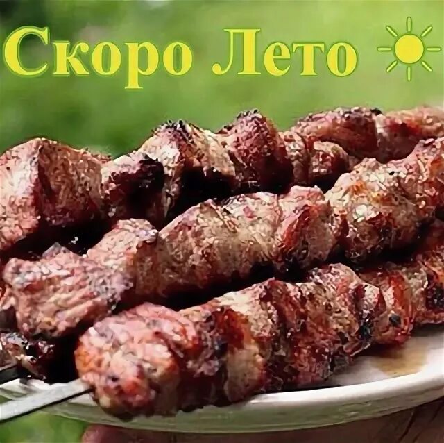 Шашлык даром 73. Джан шашлык ульяновск. Шашлык даром 73. Шашлык даром 73 ульяновск. Шашлык даром 73 ульяновск.