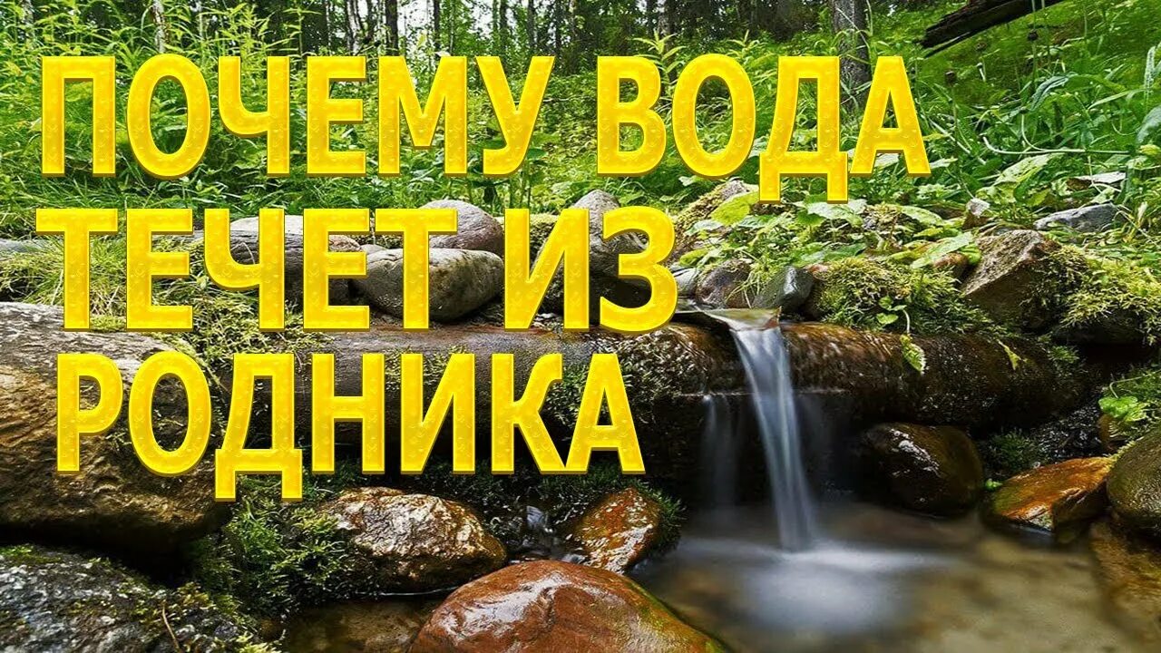 Откуда вода в родниках. Как устроен Родник. Откуда вода в роднике. Как устроен Родник в природе.