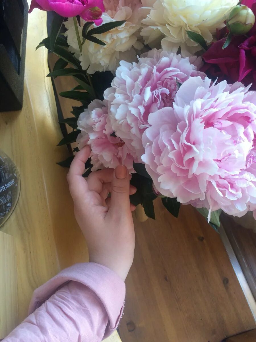 Pin by ♕ Corina Wolfe ♕ on My Flowers & My Love For Flowers (CorinaWolfe) Flower