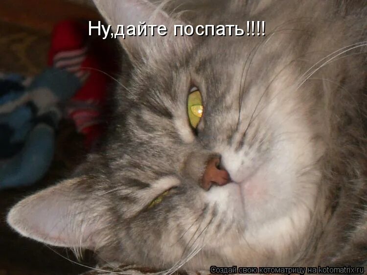 Мемы про надо спать. Я спать картинки. Ну давай поспим. Ну давай поспим. Ну давай поспим.