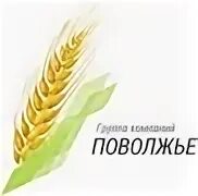Поволжье групп