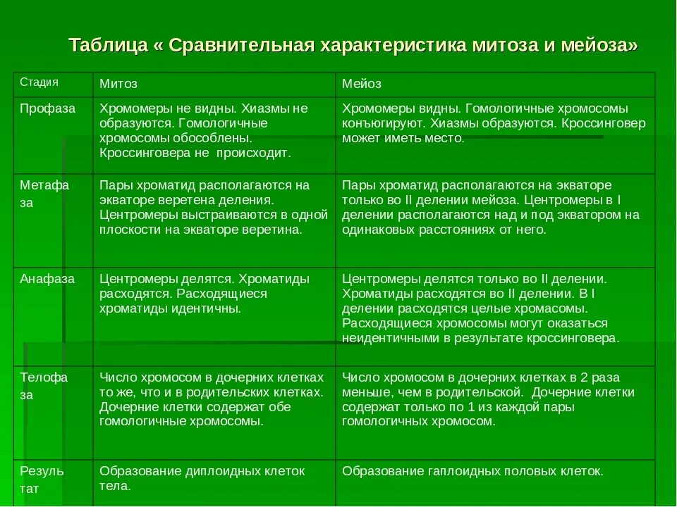Отличие митоза от мейоза. Сравнительная характеристика митоза и мейоза. сравнение митоза и мейоза таблица. митоз и мейоз таблица параметры для сравнения. таблица способы деления клеток митоз мейоз.