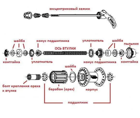 Как собрать колесо скоростного велосипеда. Втулка заднего колеса скоростного велосипеда стелс. велосипед стелс горный втулка заднего колеса. сборка втулки заднего колеса велосипеда стелс 310. устройство втулки заднего колеса велосипеда стелс.