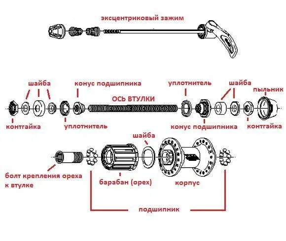 Втулка заднего колеса скоростного велосипеда стелс. Велосипед стелс горный втулка заднего колеса. Сборка втулки заднего колеса велосипеда стелс 310. Устройство втулки заднего колеса велосипеда стелс. Сборка скоростного велосипеда