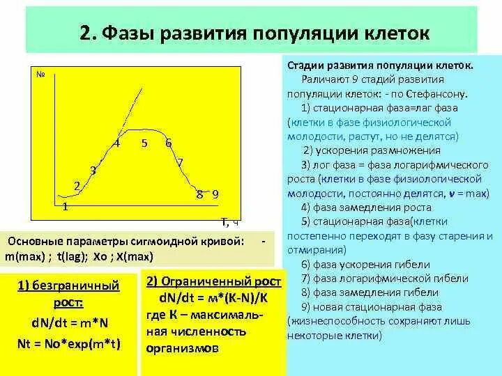 Фазы развития клетки. Стационарная фаза роста. Фазы развития микробной популяции. Фазы развития бактериальной популяции.