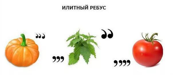 Ребус орех. Матерные ребусы. матный ребус с ответами. ребус я тебя люблю. оскорбительные ребусы.