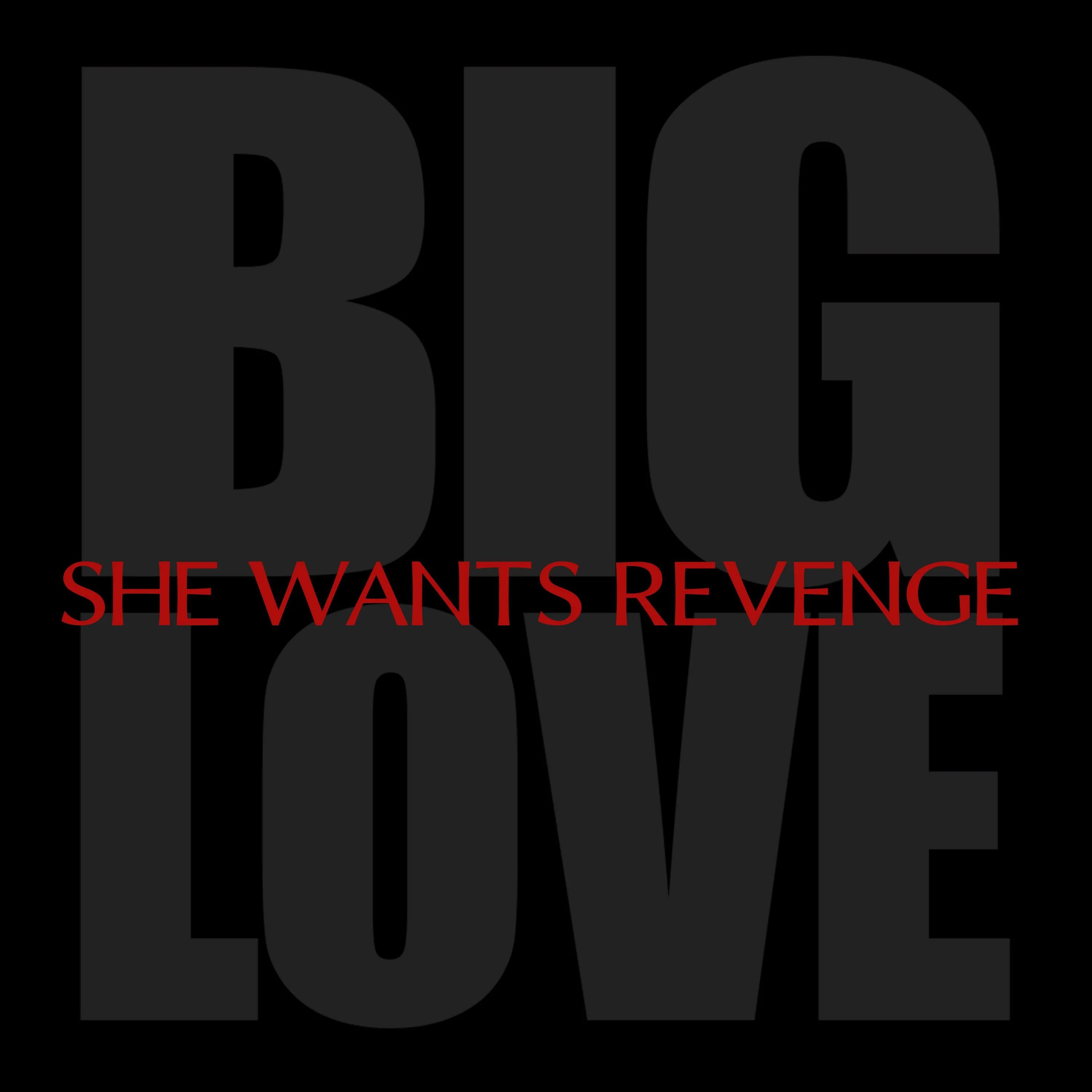 She track. She wants revenge. she wants revenge album. big love картинки. she wants revenge вики.