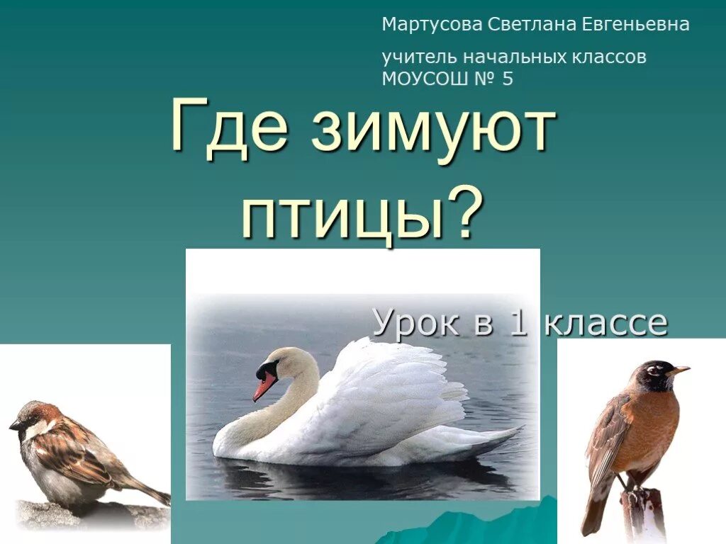 1 класс где зимуют птицы рабочий лист. Где зимуют птицы. где зимуют птицы 1 класс. где зимуют птицы 1 клаас. презентв=ация где зимуют птицы.