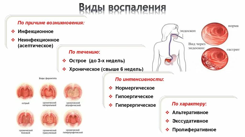 Чем грозит воспаление. Стадии хронического воспаления. Стадии острого воспаления.