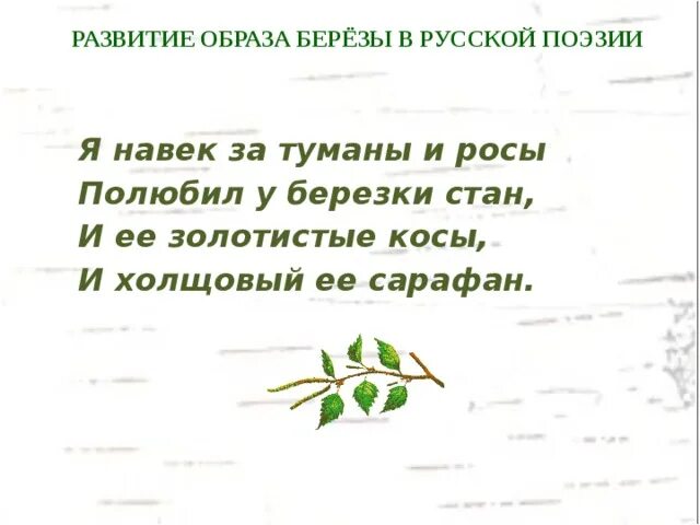 Я навек за туманы и росы полюбил. Я навек за туманы и росы полюбил у Березки стан и ее золотистые косы и. Есенин я навек за туманы и росы полюбил у Березки. Образ березы в русской поэзии. Стих я навек за туманы и росы.