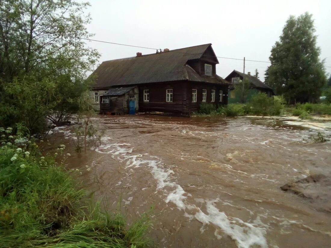 Погода п новгородское. Комарово Любытинский район. Комарово Новгородская область Любытинский. Любытинский район Новгородской. Люботинский район Новгородская область.