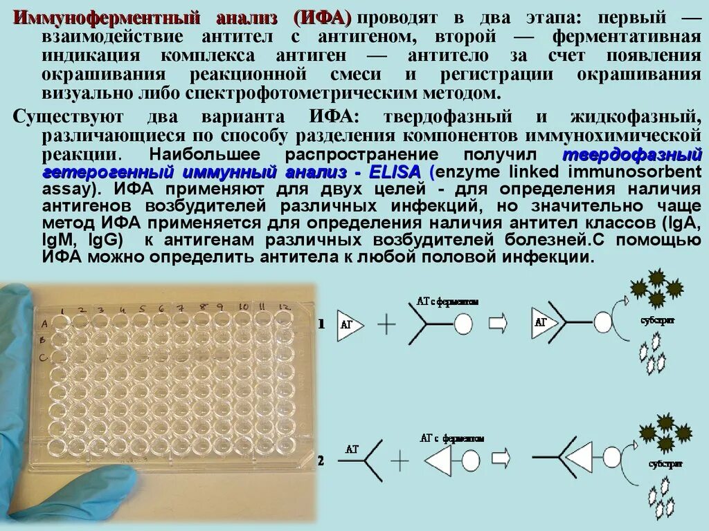 Проводят в несколько этапов. Иммуноферментный метод схема. ИФА микробиология методы исследования. ИФА принцип метода микробиология. Иммуноферментный анализ (ИФА). Принцип метода.