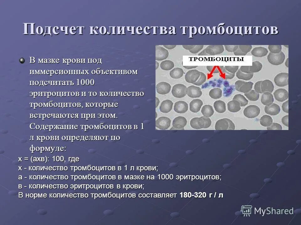 Какое значение тромбоцитов считается критическим. Какое значение тромбоцитов считается критическим