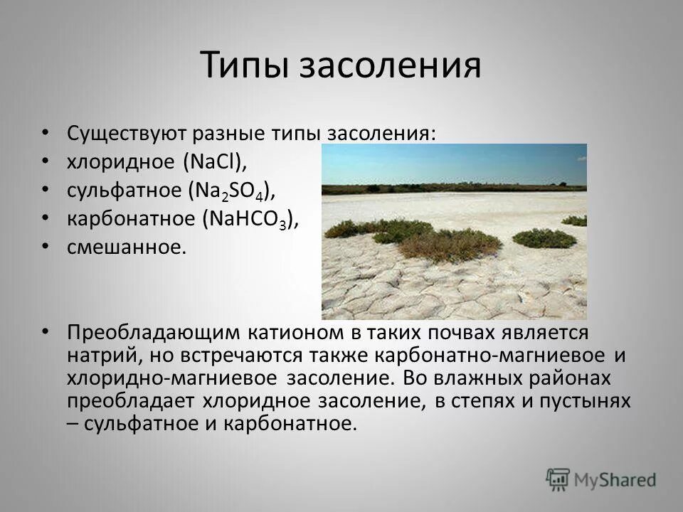 Соленость какой фактор. Соленость какой фактор