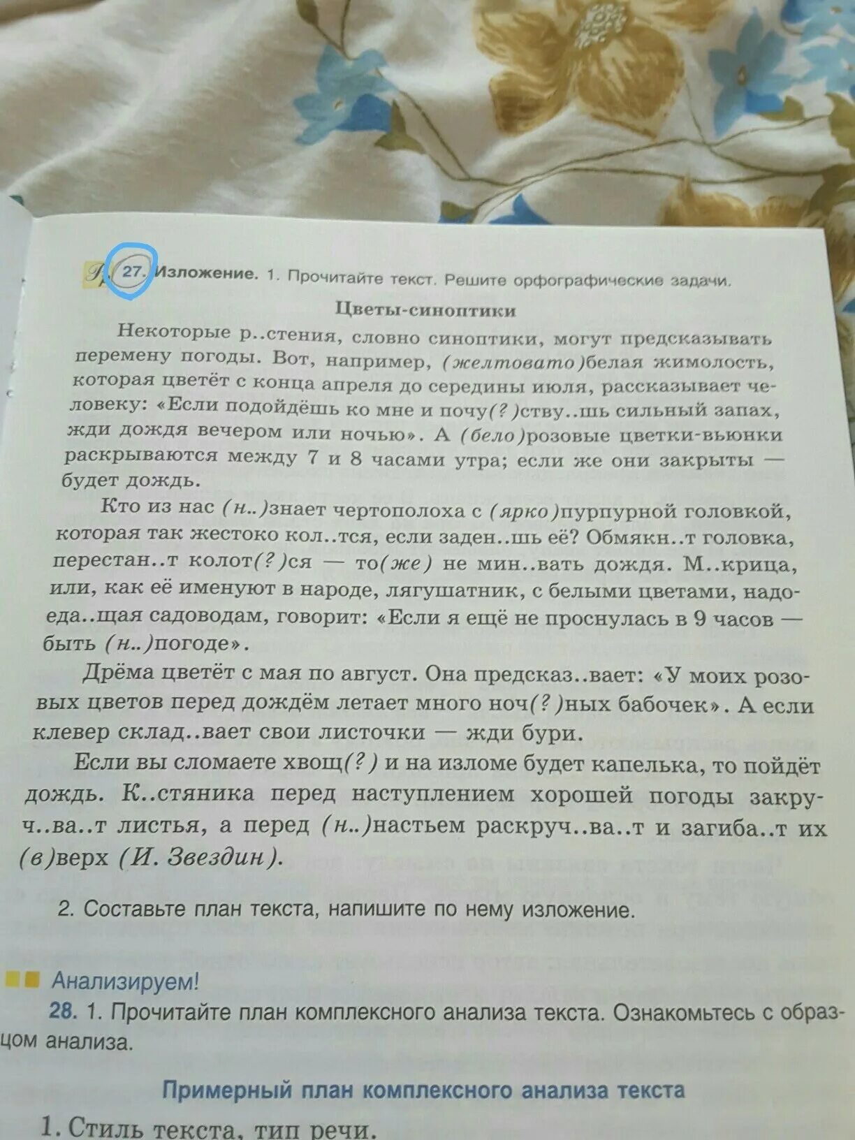 Цветы синоптики изложение 8