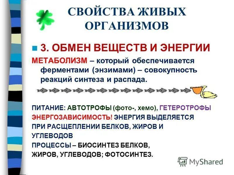 Основания в живых организмах