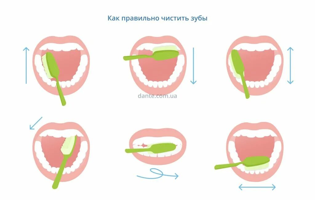 Чистить зубы 1. Схема правильно чистим зубы. схема правильной чистки зубов. как правильно чистить зу. правильная чистка зубов.