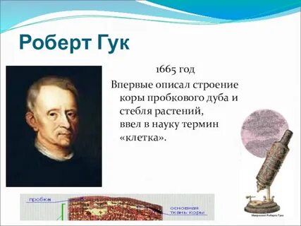 Гук вклад в биологию