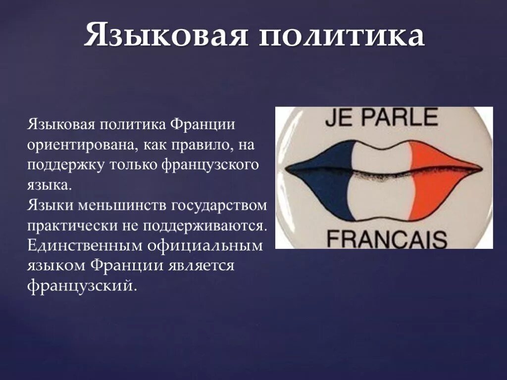 Языковая политика. Язык и политика. Языковая политика государства. Язык политики. Языковая политика.