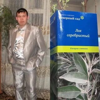 Веряющий