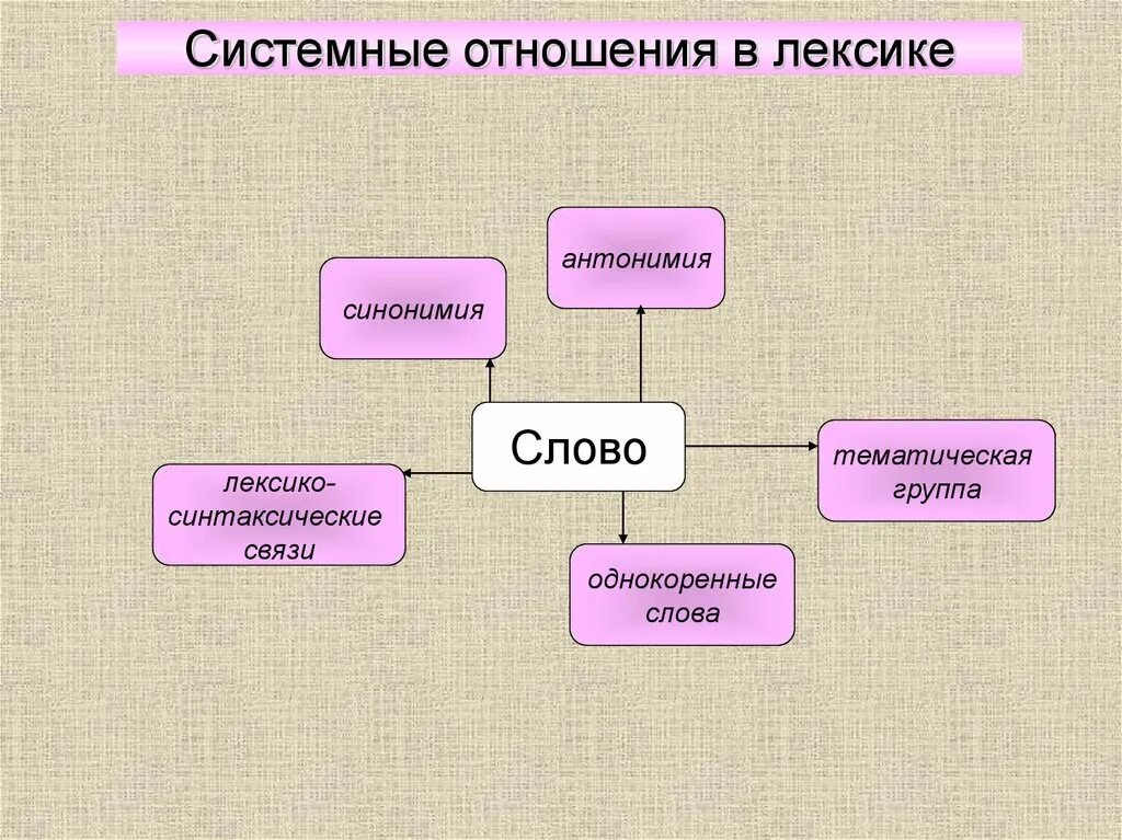 Лексика 2 примера. Системные отношения в лексике. Системные связи в лексике. Системные отношения в лексикологии. Системные отношения в лексике примеры.