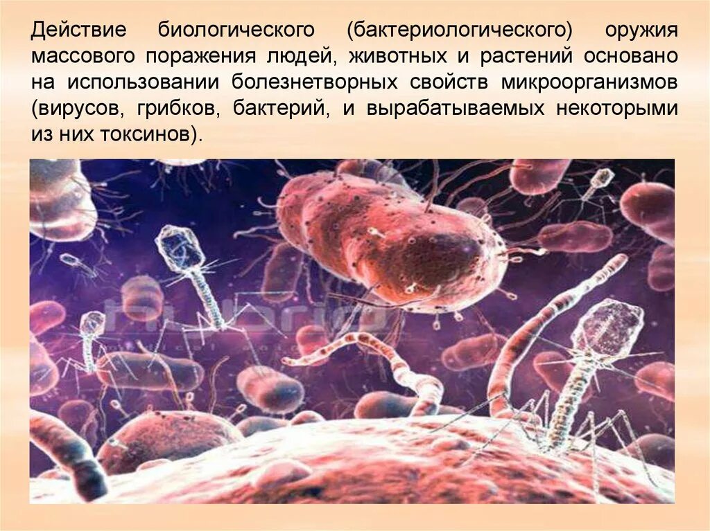 Очаги биологического оружия. Бактериологическое оружие. Биологическое оружие массового поражения. Бактериологическое оружие массового поражения. Бактериологическое (биологическое) оружие.