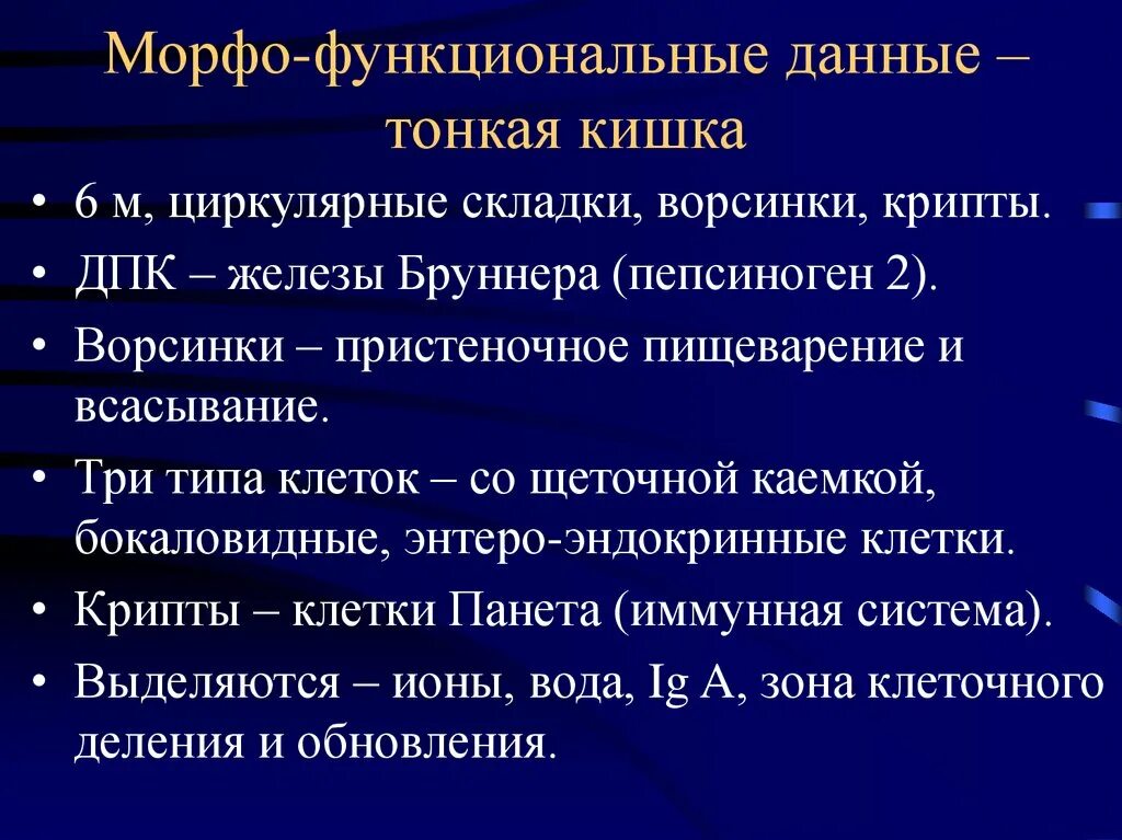 Система дававшая должностному. Морфофункциональная характеристика тонкого кишечника. Морфофункциональная характеристика кишечника. Какие морфофункциональные особенности характерны для тонкой кишки. Морфофункциональная характеристика толстой кишки.