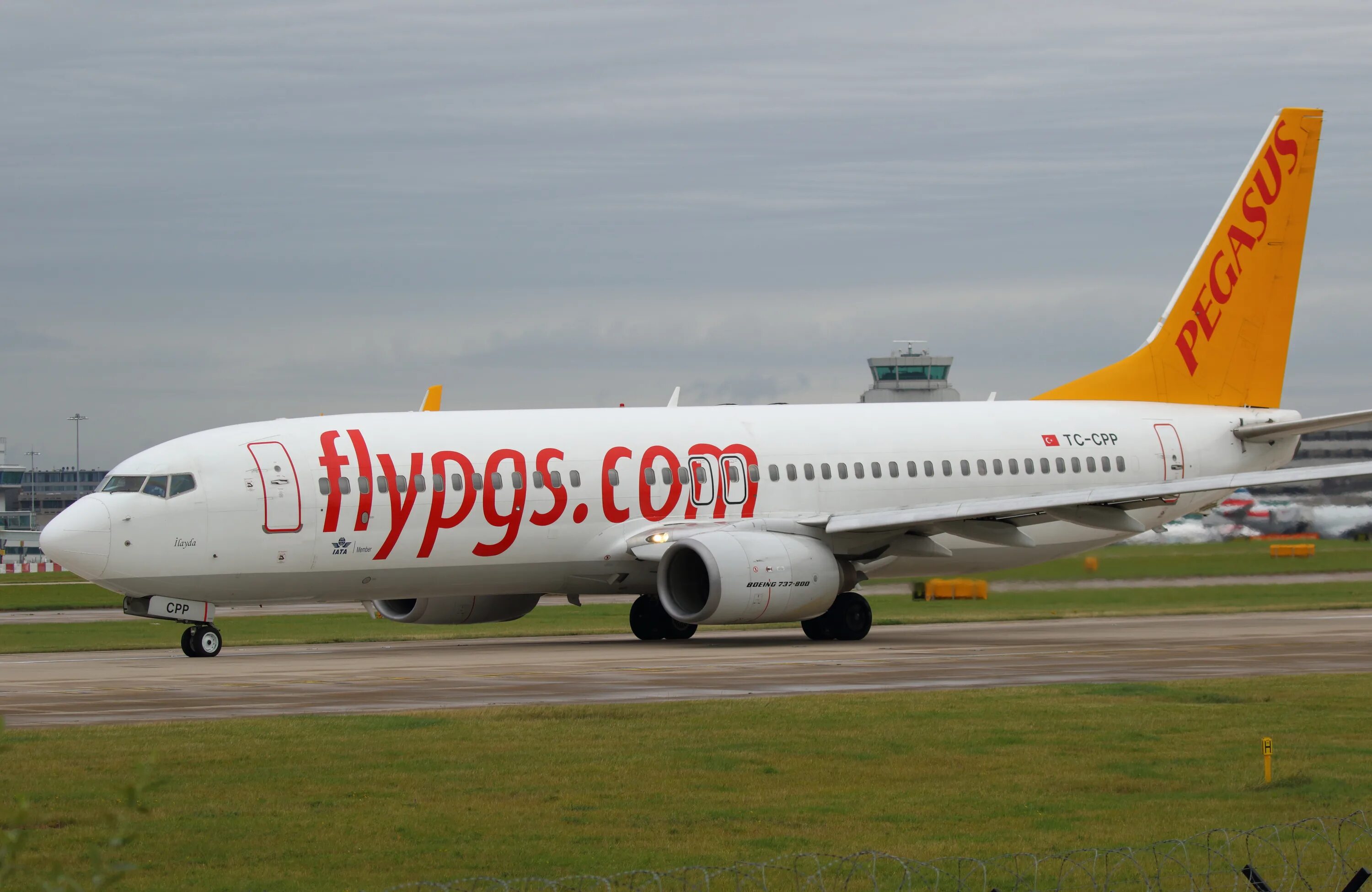 Пегасус эйрлайнс отзывы. Pegasus Airlines Boeing 737-800 Business. Pegasus Airlines детям. Pegasus Airlines салон. Tk 4002 Turkish Airlines b-737-800.