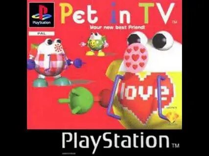 Pet tv
