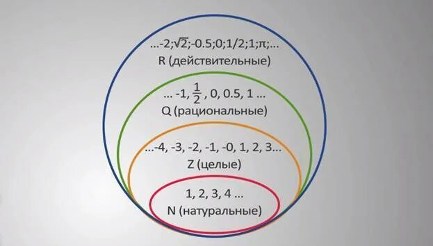 Какие числа прощены. Натуральные целые рациональные числа действительные числа проценты. натуральные рациональные иррациональные и действительные числа. натуральные числа рациональные числа действительные числа целые. целые натуральные рациональные иррациональные числа.