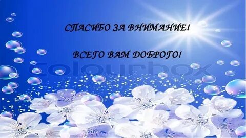 Выразить благодарность за внимание