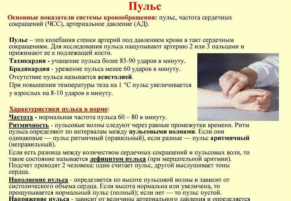 Прерывистый пульс причина и лечение