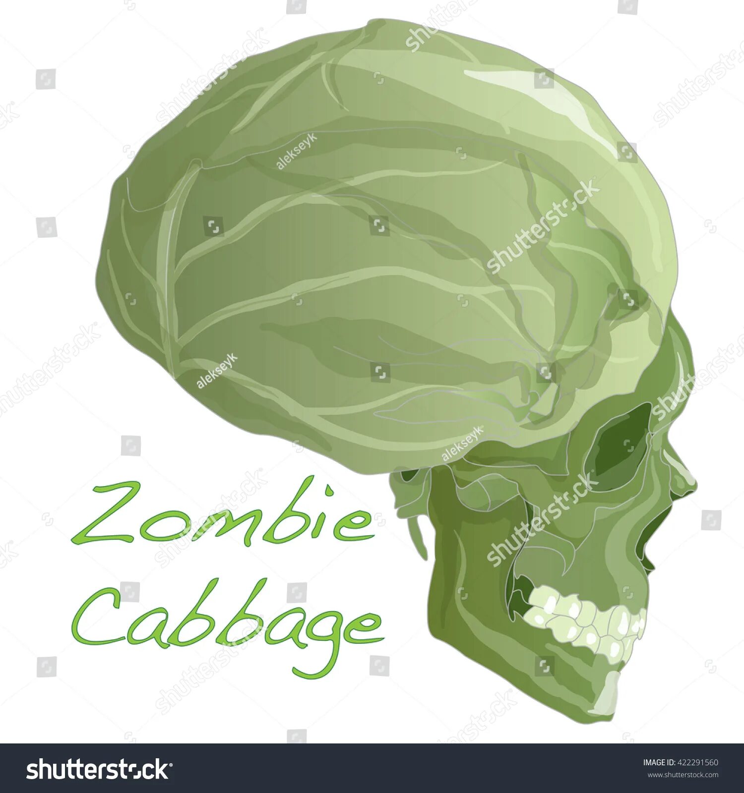 А в полете пусто выросла капуста. Загадку пустые в огород. Есть у нас огород там капуста растет. Выросла капуста стих. В огороде пусто выросла капуста стих.