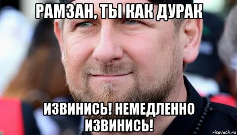 Сел извинись