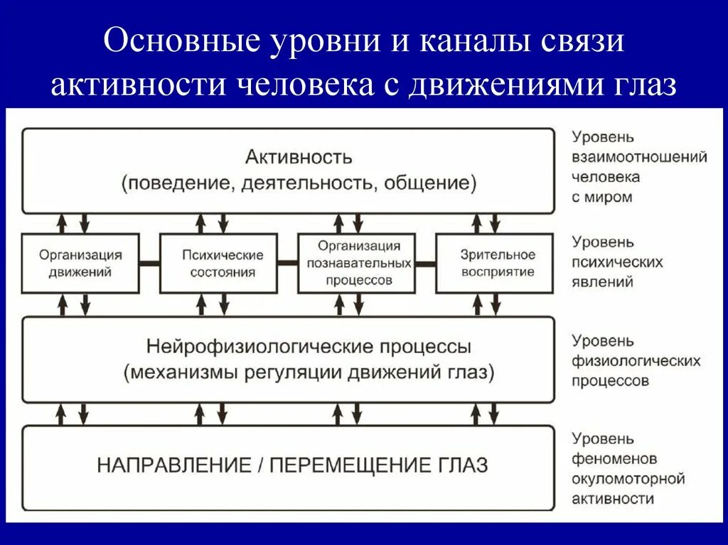 Тест уровень активности. Уровни активности человека. Уровни экспериментальной психологии. Уровни активности человека в психологии. Уровни гипотез в экспериментальной психологии.