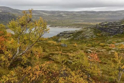 Тундровый заповедник расположен на полуострове