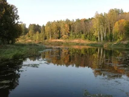Клинреки