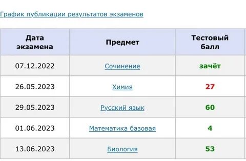Сколько 100 бальников по егэ 2024