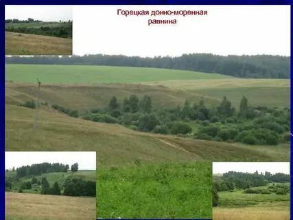 Равнина с холмисто моренным ледниковым рельефом