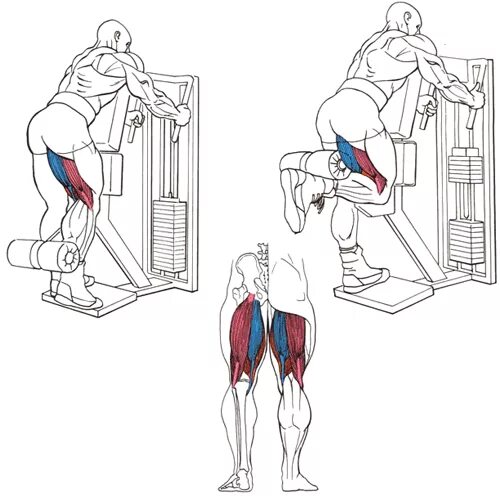 кубинский жим с гантелями стоя. жим штанги вверх стоя. стоя какие мышцы работают. стоя какие мышцы работают. протяжка штанги широким хватом.
