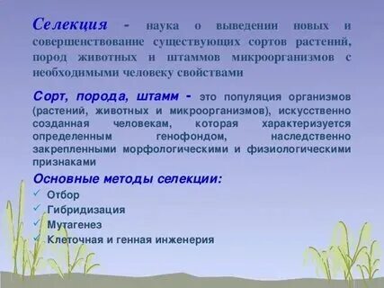 Наука изучающая сортовое разнообразие растений